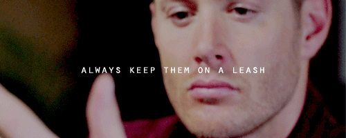 carelessdean:THE SUPERNATURAL GIF CHALLENGE | carelessdean vs. lecterlannisterround twelve | superna