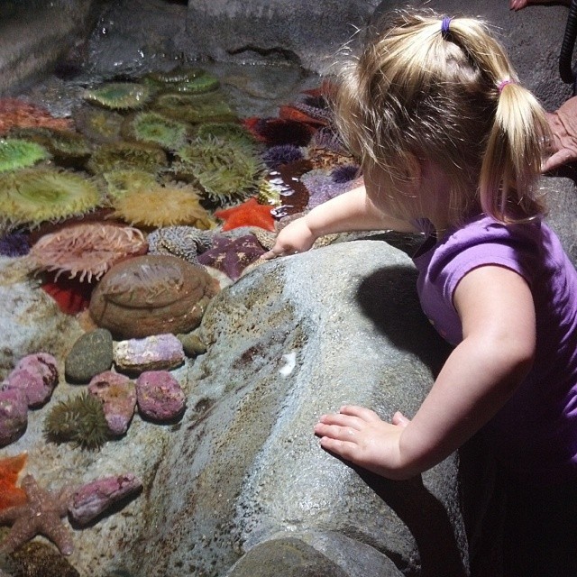 Day date with my little lady #aquariumofthepacific