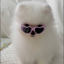 luv4rinnie
