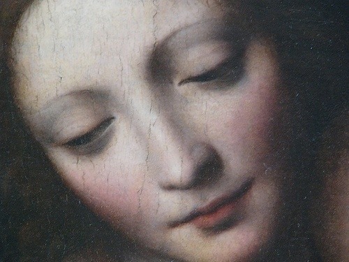 templeofapelles:Detail from The Christ Child Asleep by Bernardino Luini