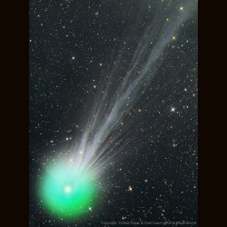 The Complex Ion Tail of Comet Lovejoy #nasa