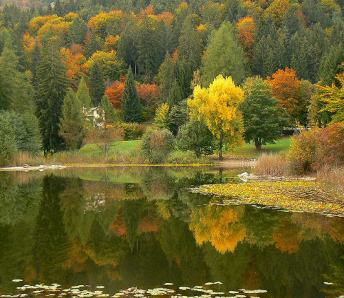 Lago di Cei by aledue on Flickr.