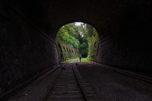 cdkphotography:  Exploration w/ @alexpenfornis & @alenpalander La Petite Ceinture - Parc Montsouris - PARIS ( Photography by C.D.K ) 