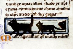 in-ois-oisou:  Medieval kittens, from a 13th