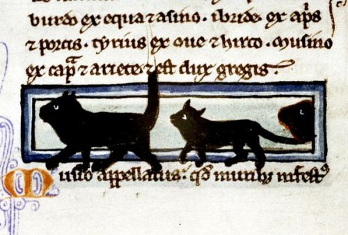 in-ois-oisou:Medieval kittens, from a 13th century English manuscript, (Bodleian Library, MS. Bodl. 
