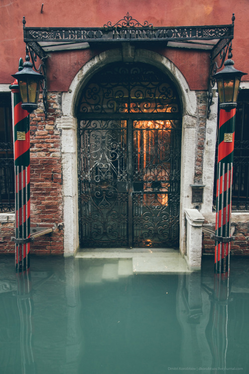 vintagepales2:Doors in ItalybyDmitri Korobtsov