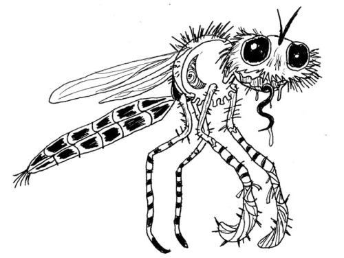 THE HARMBURGLAR (Lorene to friends) is a robber fly that goes around fighting in exchange of free me