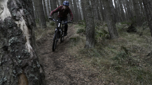 thebikingsquirrel: Bonaly