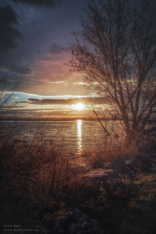 novice-at-play:  “And so lying underneath those stormy skiesShe’d say, “Oh, I