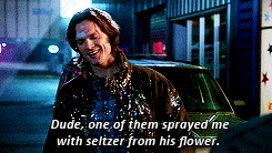 Sam + quotes