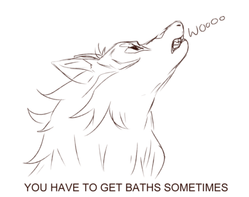 inimoose: Kosmo gets a bath Oh my gods. Kosmo talking like a husky is my life. I have 3 of them and 