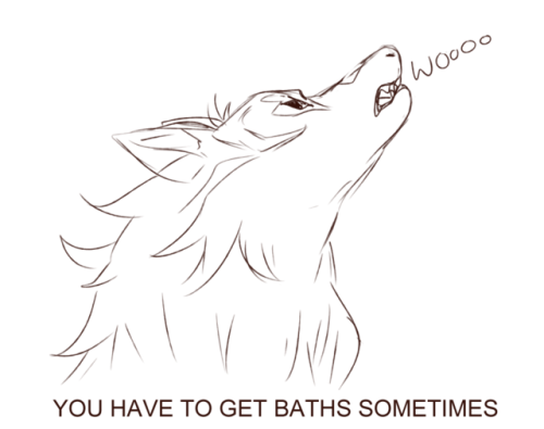 inimoose:Kosmo gets a bath