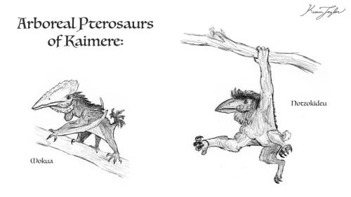 In Kaimere&rsquo;s history, two lineages of pterosaur have independently evolved derived arborea