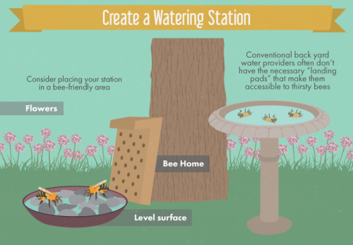 animalsandtrees: Creating a Bee-Friendly Garden 					 					A Few Simple Homemade Devices Can Go a Long Way “Have you noticed a dearth of pollinators in your garden of late?  Honeybee numbers are declining due to several factors, and it’s finally 