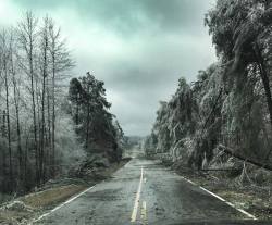 stunningpicture:  Ice storm makes north Georgia look like something out of an apocalypse movie.