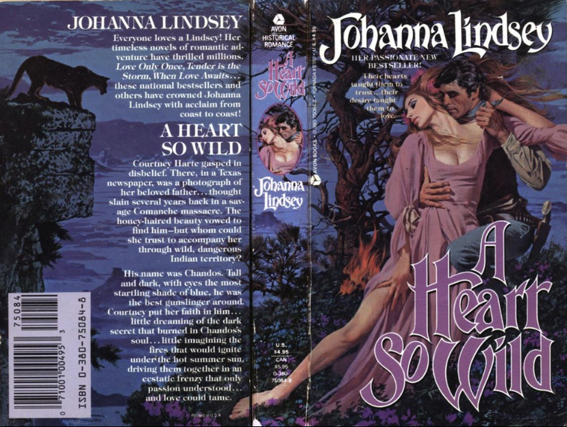 Brave the Wild Wind by Johanna Lindsey (1984 Hardcover) R. McGinnis cover