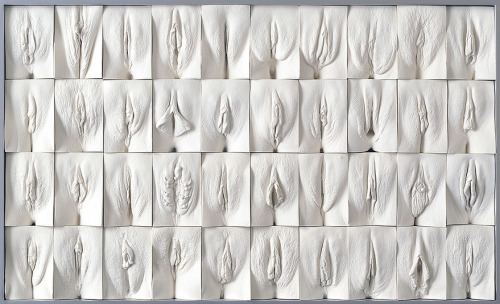 artandunmentionables:  Jamie McCartney, The Great Wall of Vagina“Vulvas and labia are as different as faces and many people, particularly women, don’t seem to know that. […] The Great Wall of Vagina makes for fascinating and revealing viewing which