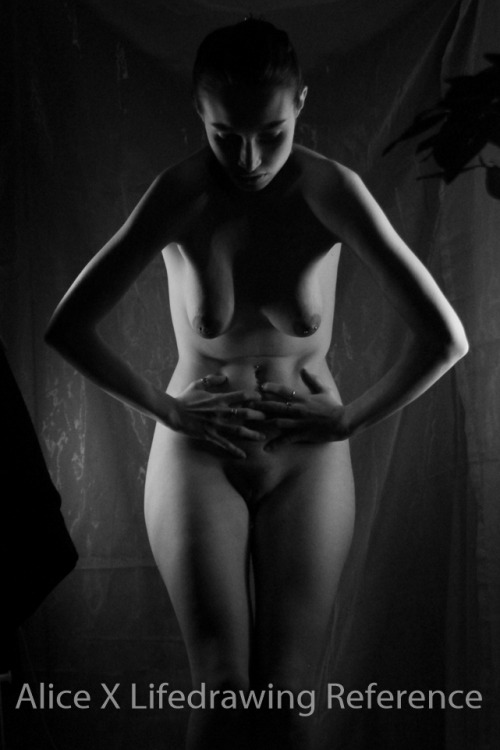alicexblog:  Lifedrawing “Shadows”. To be used for references only. Live streams are free to attend on Picarto.tv