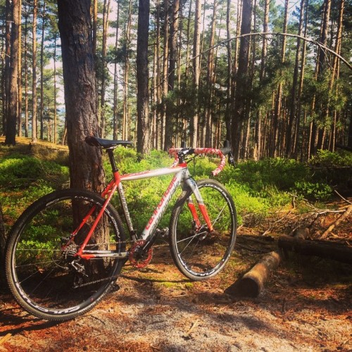 crossgram: Kalchreuth Trails in the morning…. #awsm #cannondale #superx #cyclocross by 13ride_hard h