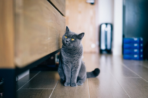 Open the drawer now! by Eric Lui