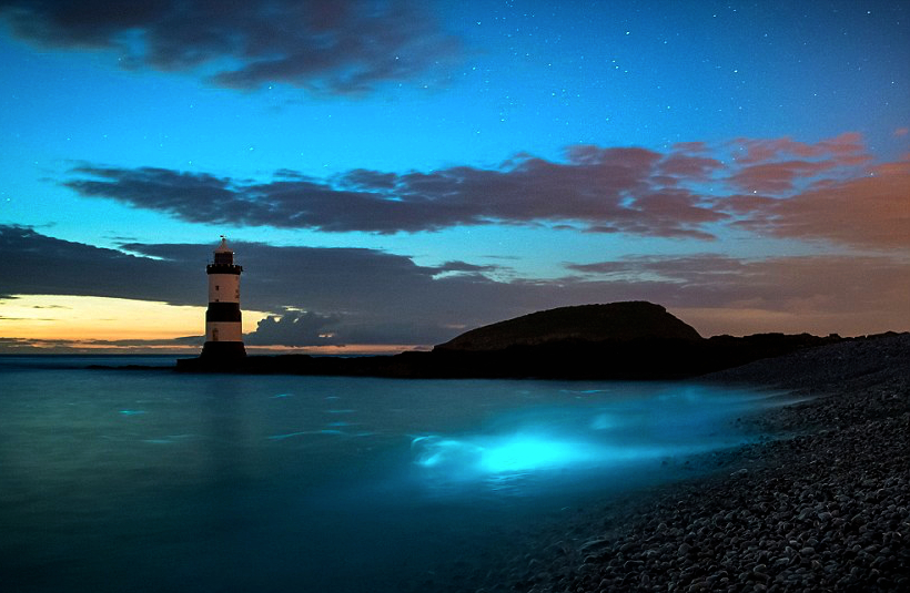 nubbsgalore:  though beautiful, these fluorescent blue patches of water are an indicator