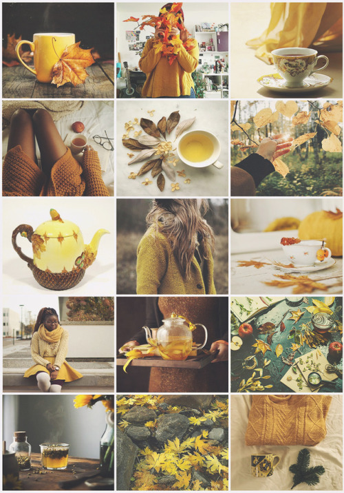 aestheticschaos:Autumn/Tea aesthetic