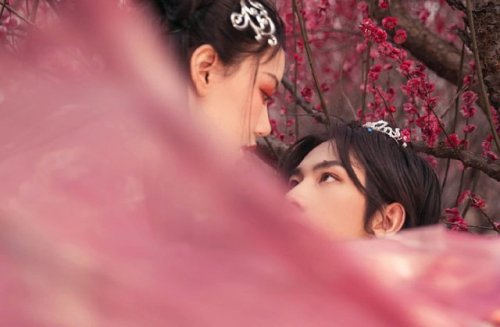 ziseviolet:A traditional Chinese Hanfu photo-story depicting an encounter amid peach blossoms, via 莲