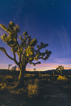 &ldquo;Sun and Stars&rdquo; Just a tad before astronomical sunset in Joshua Tree NP-jerrysEYES