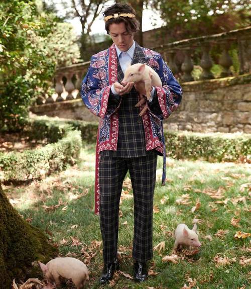 harrystylesdaily:  Harry Styles returns in a new Gucci Tailoring campaign shot by Glen Luchford in the gardens of Villa Lante outside of Rome.  