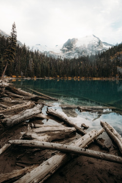 tryintoxpress:  Joffre Lake - Photographer