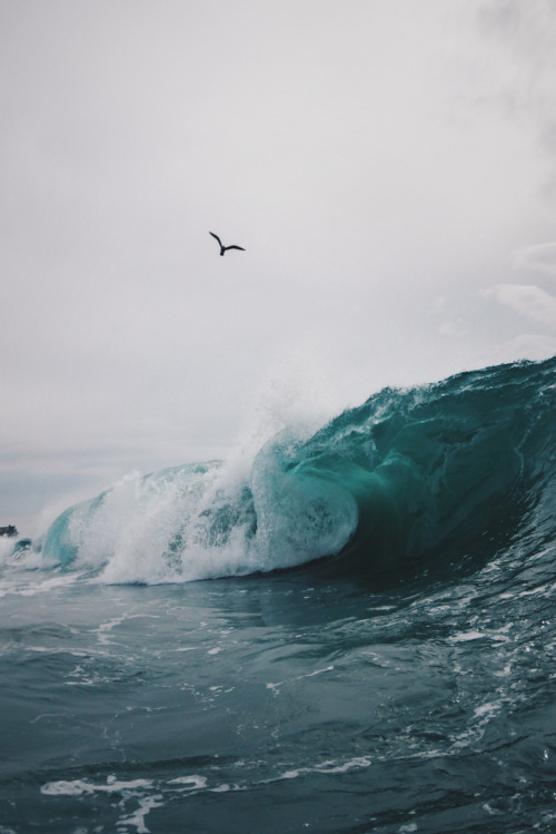 the-sundance-kiddo:mostly nature