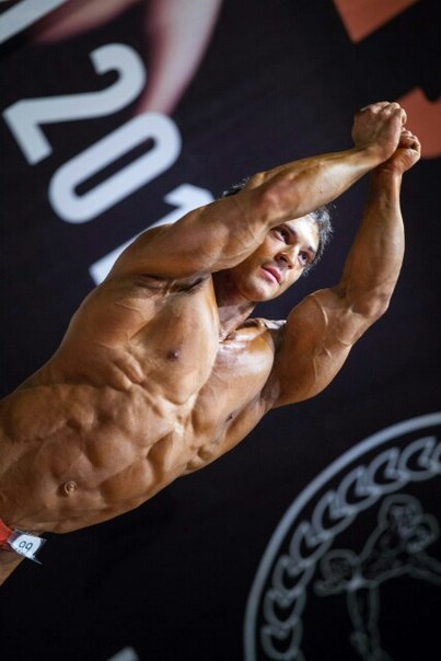 Muscle Blog