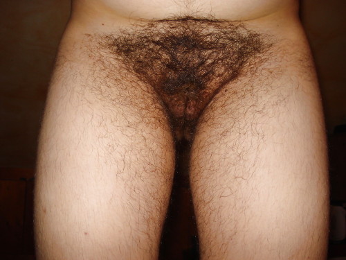 http://velter1.tumblr.com/post/100854413572