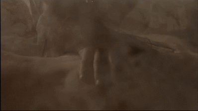 muskming:  East Palace, West Palace / 東宮西宮 1996 Chinese film directed by Zhang Yuan