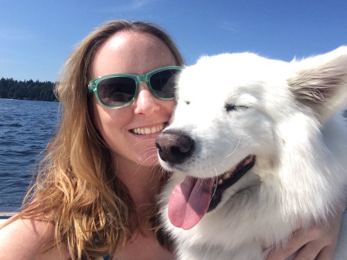 skookumthesamoyed:  A wonderful day out on Lake Washington! Of course no day out on the boat would be complete without Skookum freaking out and refusing to jump off the boat and Jason having to carry him :)