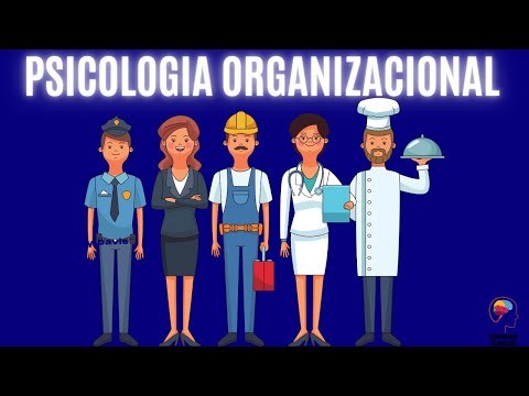Que Es La Transdisciplinariedad Psicología Organizacional - Psicología organizacional