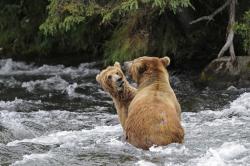 magicalnaturetour:  Conversation with Mom