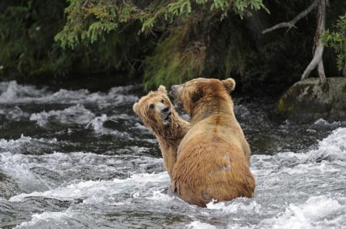 Porn Pics magicalnaturetour:  Conversation with Mom