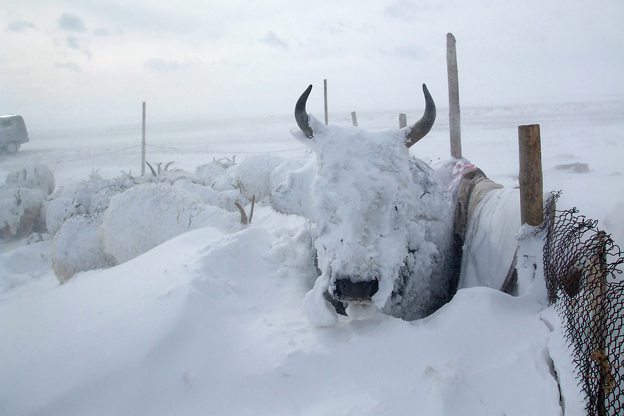 desiderium-ad-astra: mariesminnow:  wildcardarcana:  the-everything-man:  bog-dweller-official: