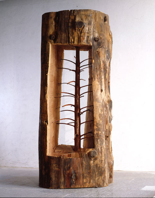 prob5eight:Giuseppe Penone - Albero porta—cedro (Door Tree—Cedar) (2012)original sapling