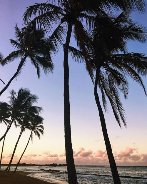 rockybarnes:  Sunrise in paradise✨#rockytakeskauai #beachlife #kauai  Abercrombie & Fitch  xx