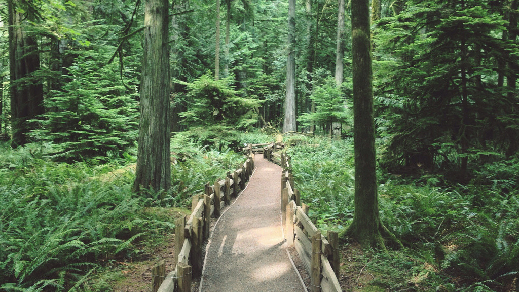 englishsnow:  by Tyler Forest-Hauser 