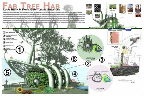 Plantings for the future The Fab Tree Hab Three MIT designers – Mitchell Joachim, Lara Gr