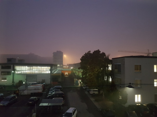 18th October 2018: Today was a quite foggy morning and the sky was purple in the harbor.