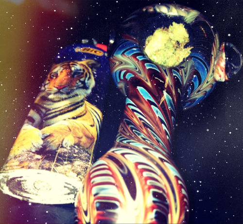 ChiefXueer