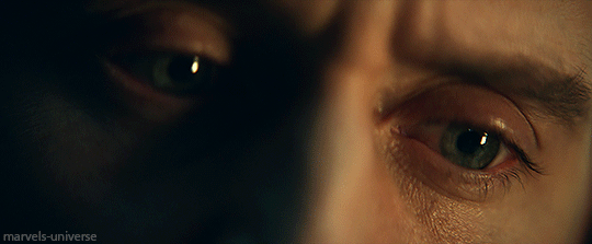 7788ed2e9fdb65c8ad195acd987964f57806a739.gifv