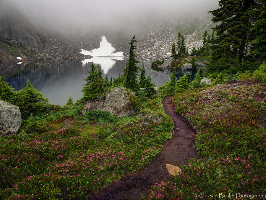 silvaris:  Foggy Morning at Copper Lake by Erwin Buske 