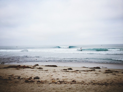 tasha-mahina:Early mornings at trestles