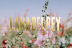 BORN TO LANA