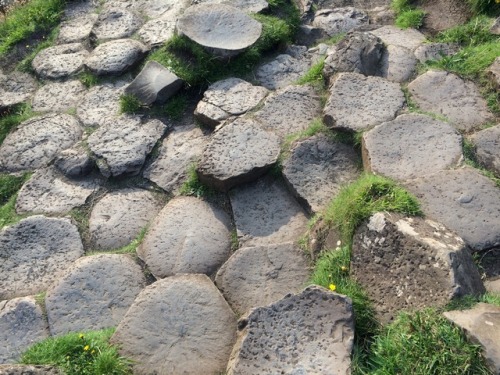 an-aisling-abroad-photography:Giant’s Causeway // Northern Ireland // July 19, 2016Couple northern I